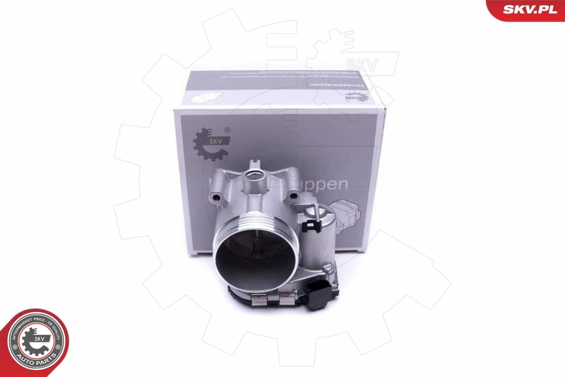Throttle Body